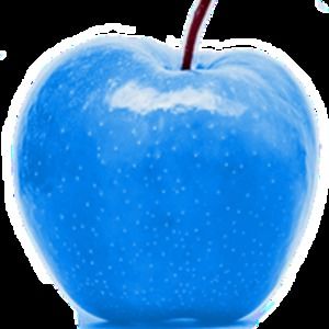 Meet your Posher, Lowell